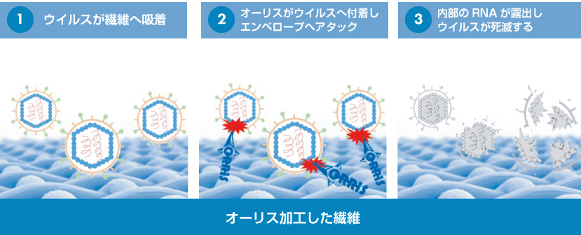 抗ウイルス作用機構